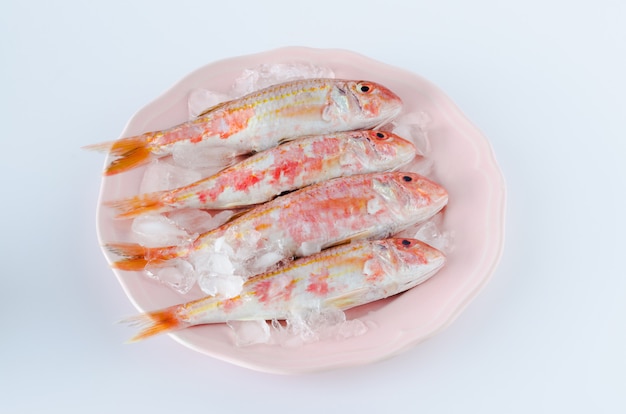 Red mullet on plate on white background.