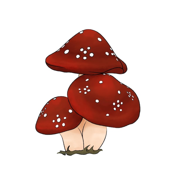 색 바탕에 가을 또는 가을을 위한 은 버섯 또는 Amanita muscaria 만화 일러스트레이션