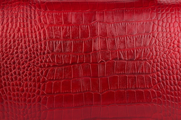 Красный натуральный кожаный женский кошелек крупным планом