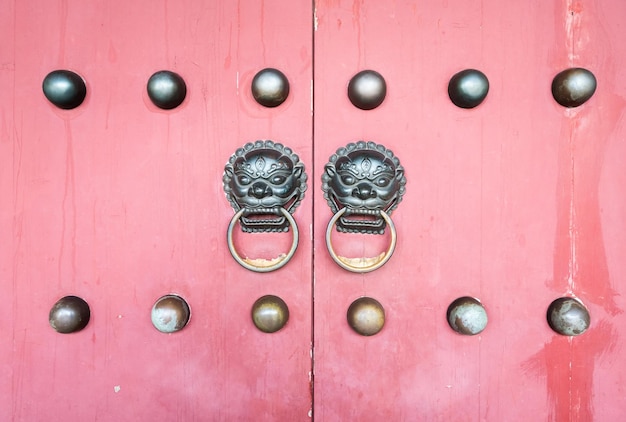 ブロンズライオンヘッドノッカーと赤い古い木製のドア