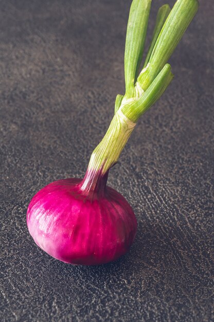 Photo red onion on the black surface: top view