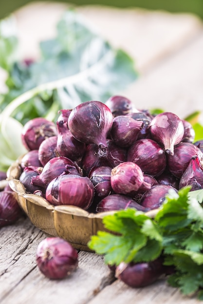 Red onion in bronze bowl on garden table. Close-up fresh healthy vegetable.