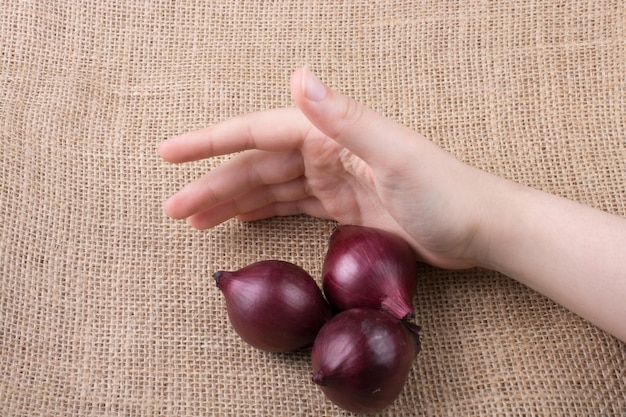 Red onion bulbs in hand on canvas