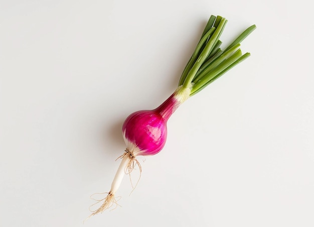 a red onion with a purple top and green stems