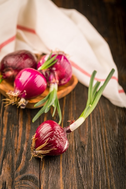 Red onions on rustic wood