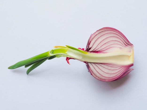 Red onions vegetable sliced