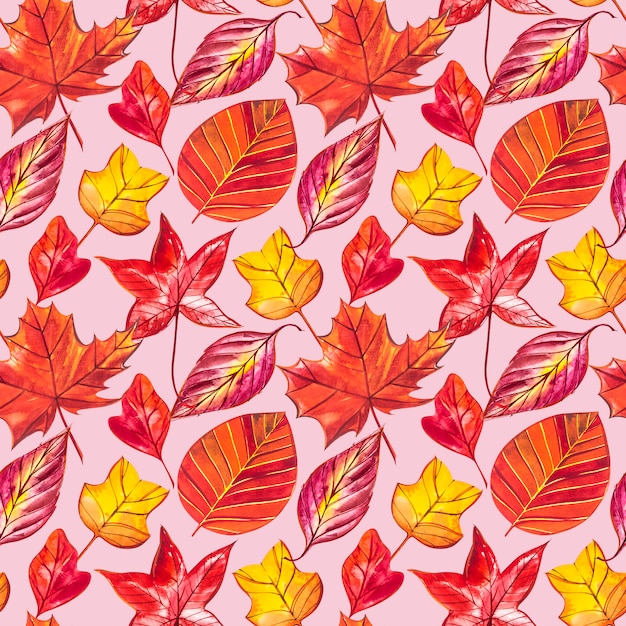 Red and Orange Autumn Leaves Background. Watercolor seamless pattern illustration.