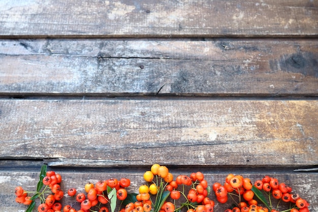 Foto bacche invernali rosse arancioni e gialle su uno sfondo di legno orizzontale i frutti di sorbo si trovano lungo il bordo inferiore dello sfondo capodanno o natale sfondo naturale