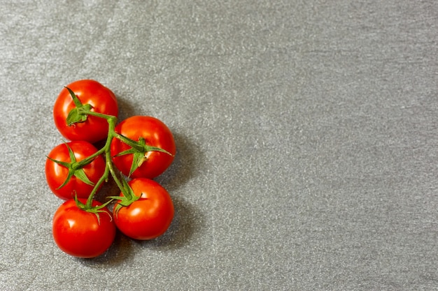 Red organic tomatoes on a green branch on a gray background