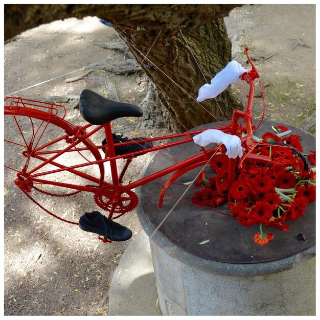 Foto bicicletta dipinta di rosso da un albero