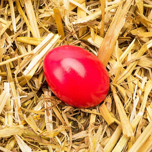 A red painted easter egg on straw. Taken in Studio with a 5D mark III.