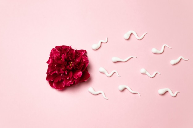 Red peony flower with plastic sperm forms