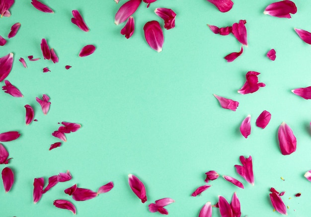 Red peony petals on a green background, full frame