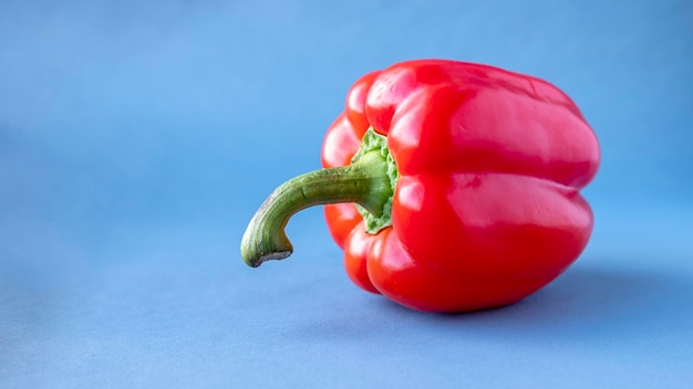 A red pepper on a blue background