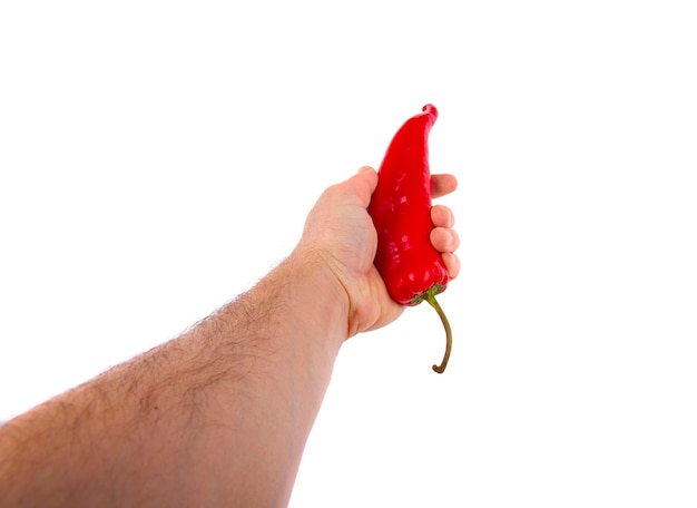 Red pepper in hand on white background isolation