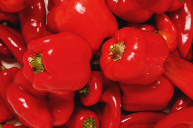 Red pepper paprika closeup background for design.