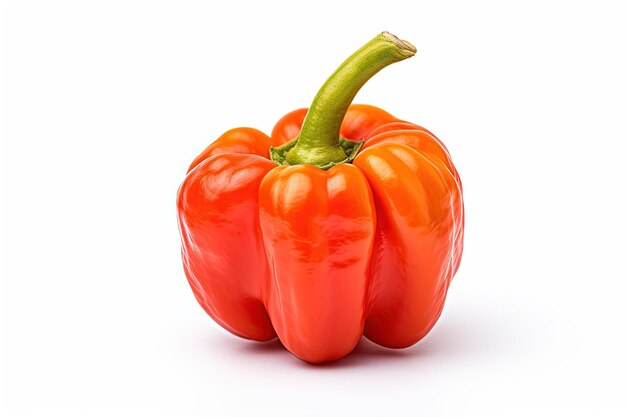 Red pepper pepper white background