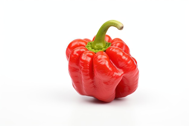 Red pepper pepper white background