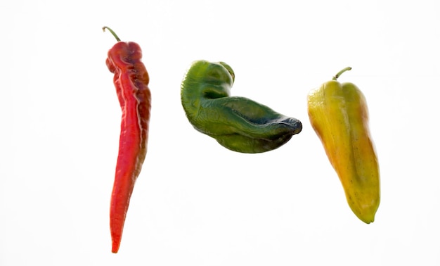 Red pepper plant found at the market