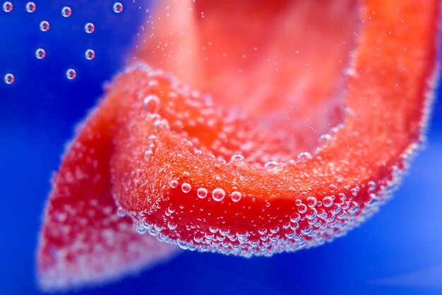 Red pepper in water