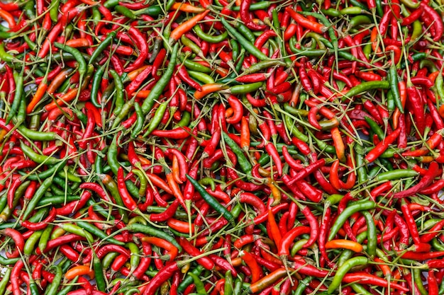 red peppers green background