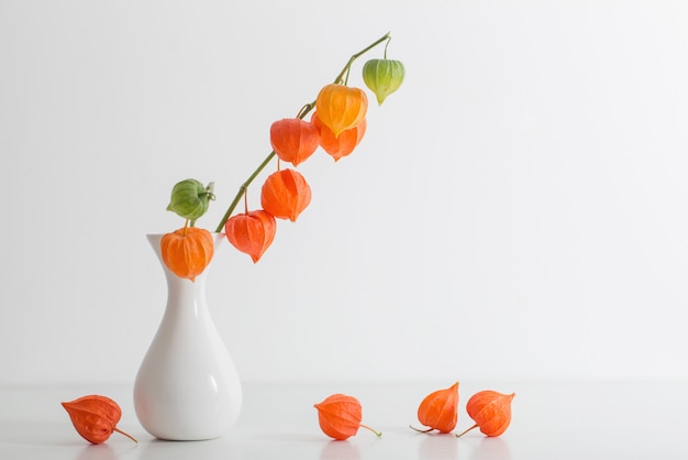 Red physalis on wooden table