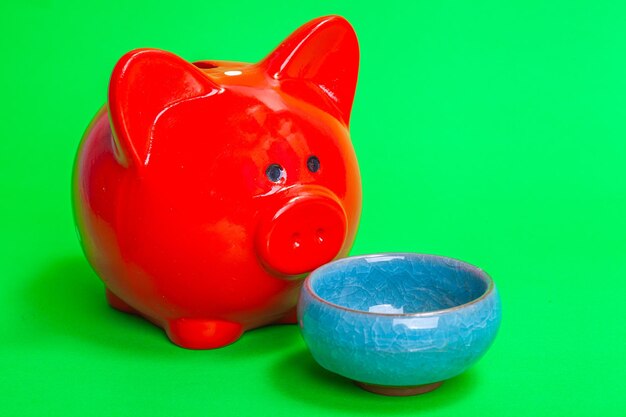 Red pig piggy bank in front of an empty blue bowl on a green background