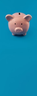 Red piggy bank on blue panorama background