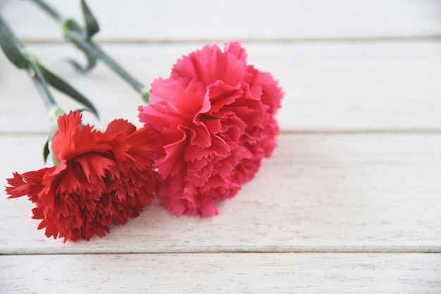 Red and pink carnation flower blooming on white wooden 