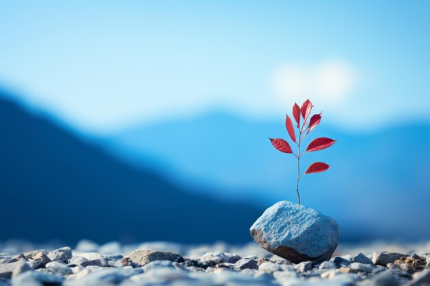 A red plant growing out of a rock in the middle of a field