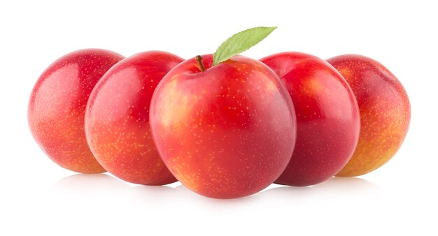 Red plums on white background