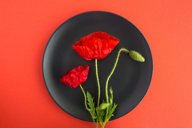 Red poppies on the black plate on the red background