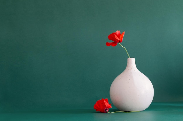 Photo red poppies in vase on green background