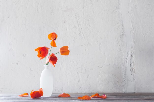 Red poppies in white vase on white background