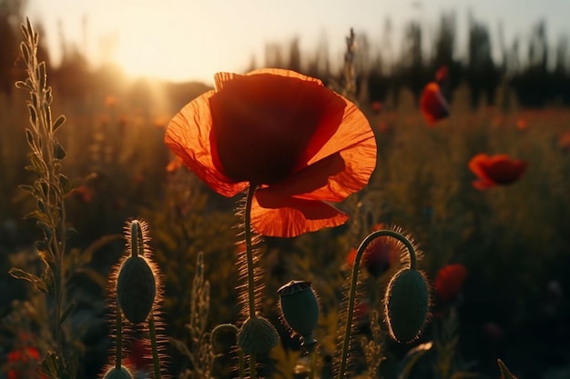 Red Poppy field at sunset floral background Generative Ai