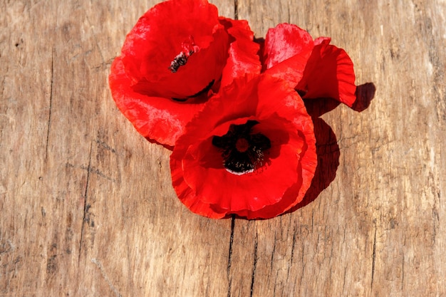 Red poppy flowers on wooden background