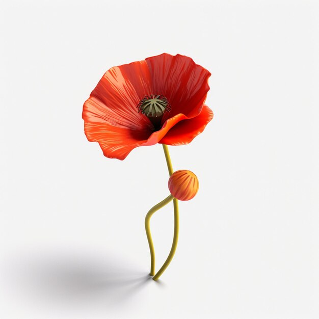 A red poppy with a green stem and a yellow bud.