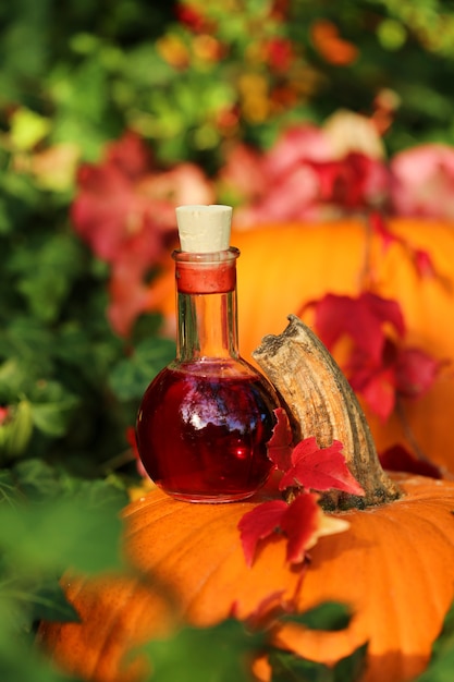 Red potion on a pumpkin