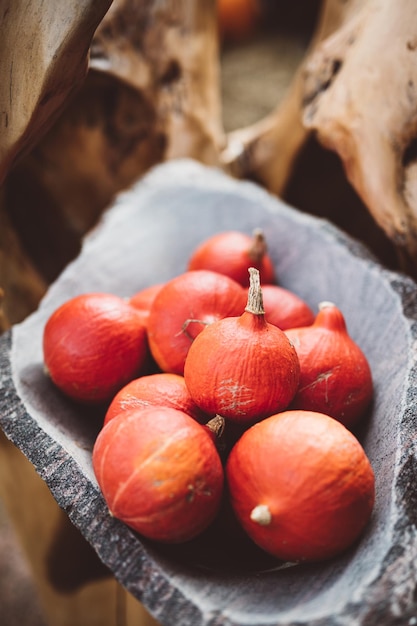 Photo red pumpkins in rustic stone bowl