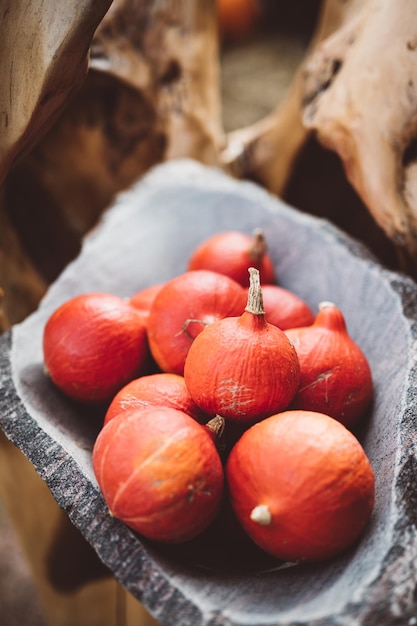 Red pumpkins in rustic stone bowl