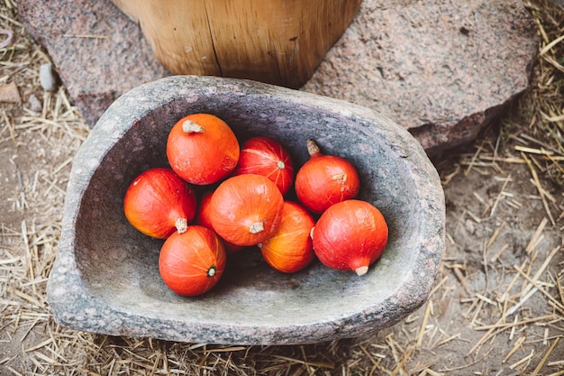 Red pumpkins in stone bowl Autumn seasonal food