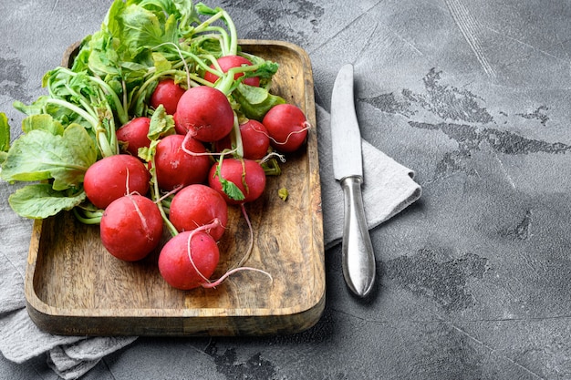 Red radish bunch with green leaves set, on gray stone table