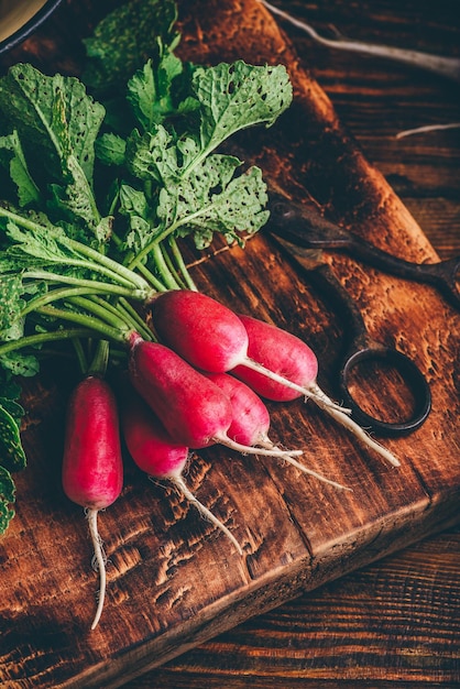 Red radish on cutting board