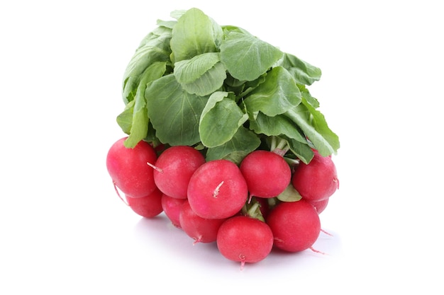 Red radish fresh vegetable isolated