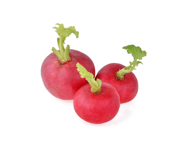 Red radish isolated