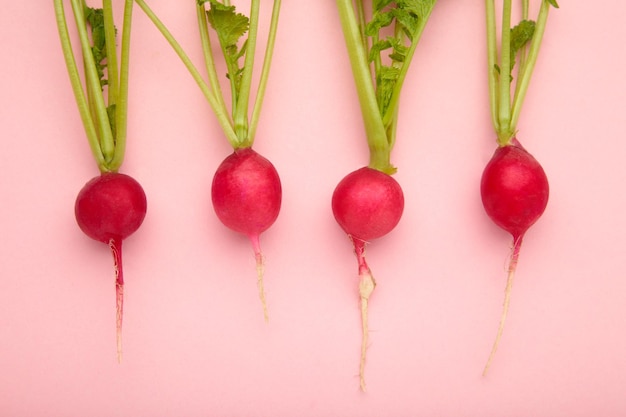 Red radish with leaves on pink background Flat lay