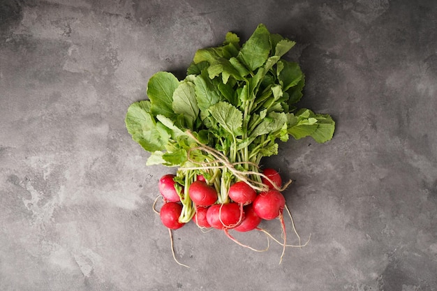 Red radishes bunch on a grey background top view