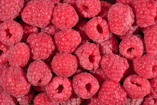 Red raspberries as background texture