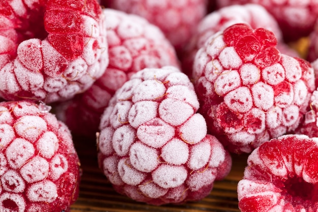 Red raspberries