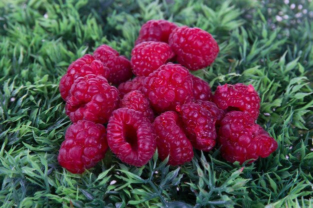 Red raspberry on green